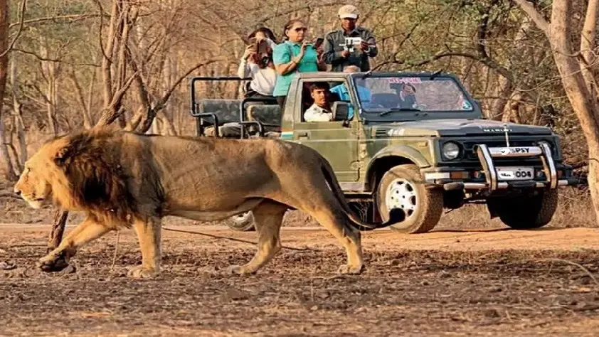 West India Tourism Guide