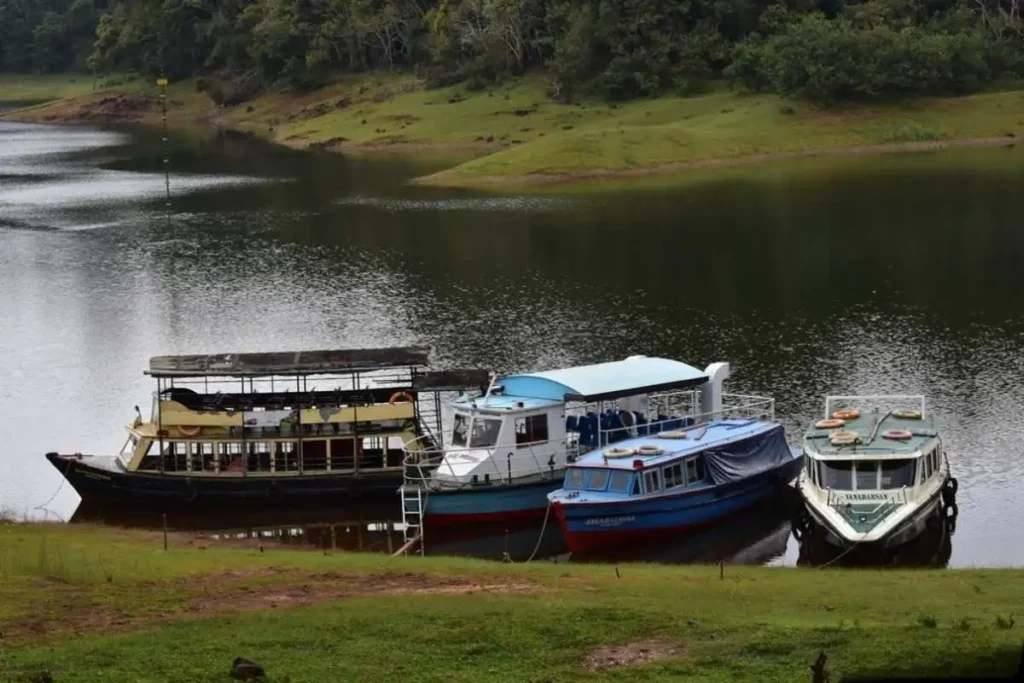 Boat safari in wildlife reserve