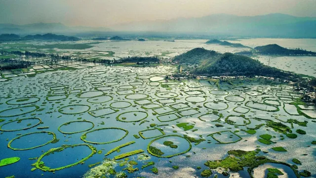 Manipur Loktak Lake floating park Keibul Lamjao