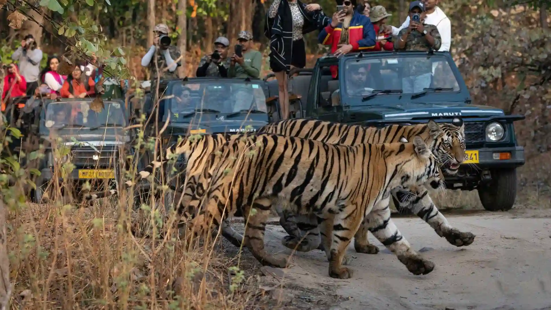 West India Tourism Guide