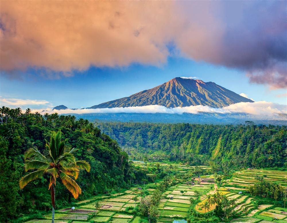 dynamic-content-widget-ba0c2b5-b7450cb