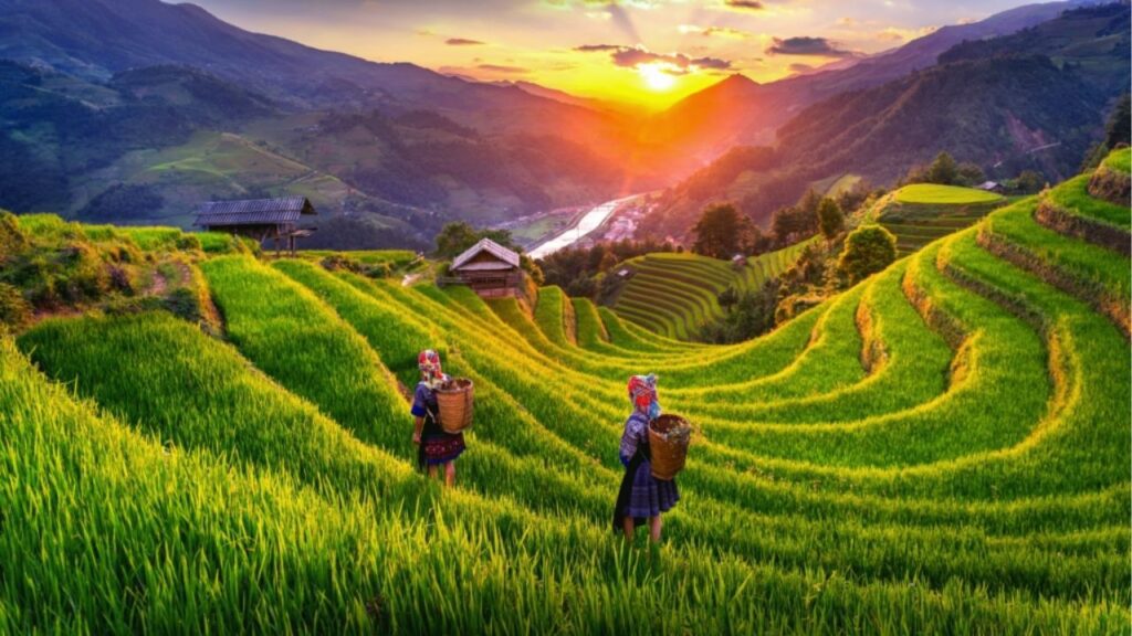 15 Best Places to Visit in Vietnam in 2025 - Ultimate Travel Planning Guide with Itinerary