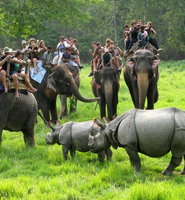 Ultimate Nepal Experience