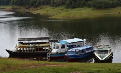 Boat safari in wildlife reserve