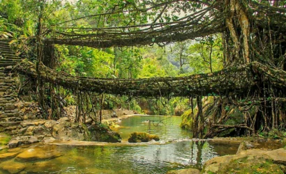 Double Decker Living Root Bridge trek