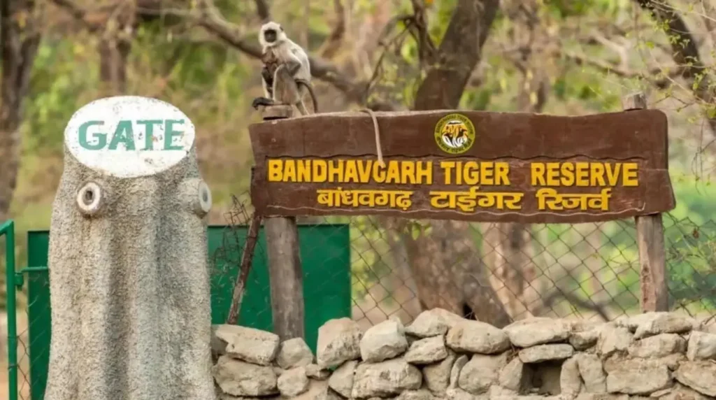 India wildlife safari: the 10-day circuit that covers three of the best tiger reserves 4 India Wildlife Safari: The 10-Day Circuit That Covers Three of the Best Tiger Reserves