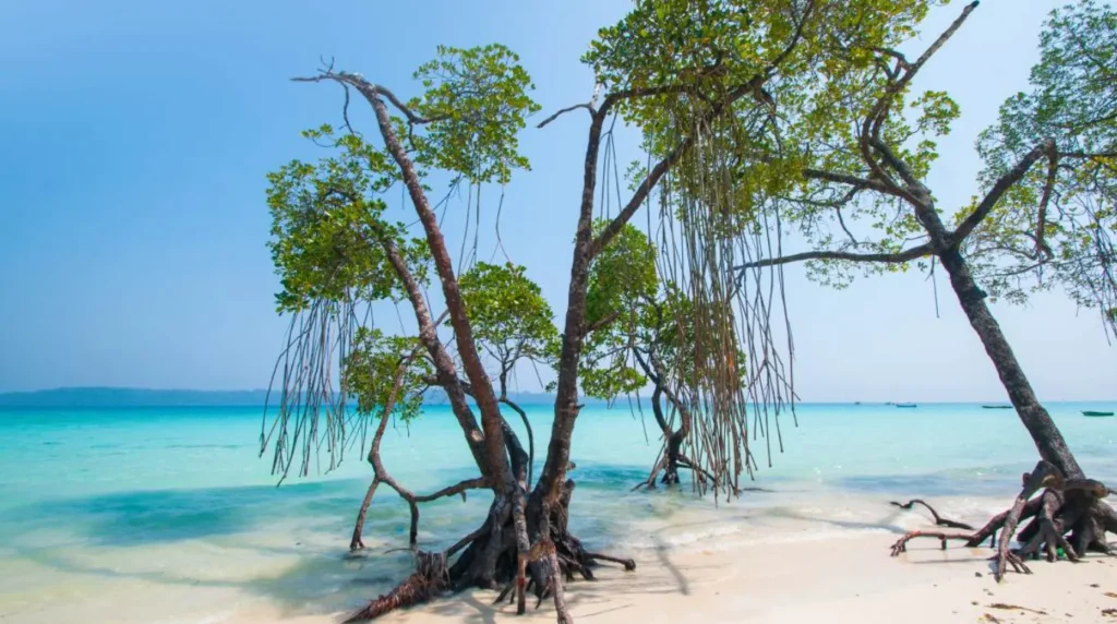 Andaman islands travel guide: beaches, diving & how to plan your trip 2 Andaman Islands Travel Guide: Beaches, Diving & How to Plan Your Trip