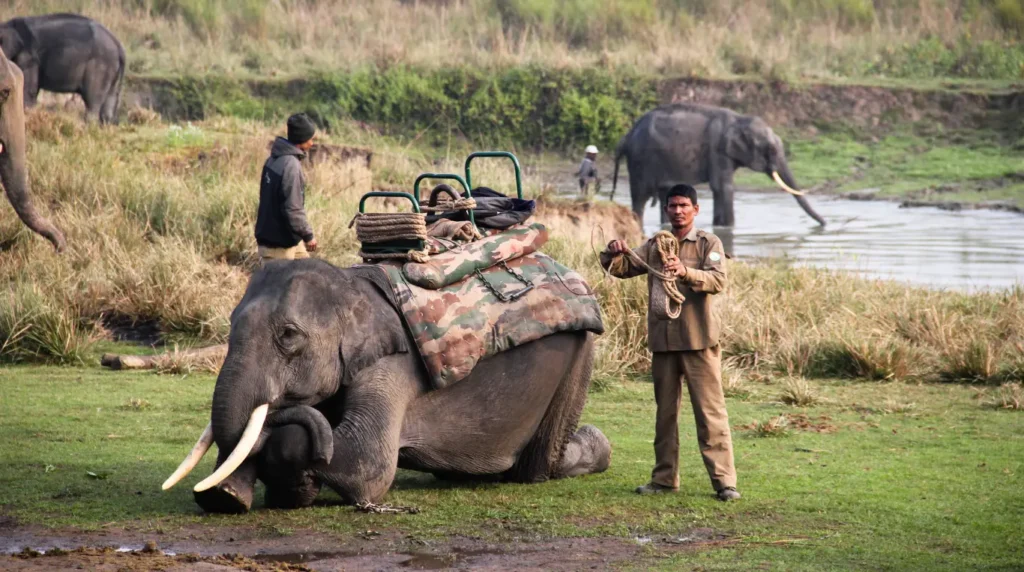 Northeast india travel guide: the part of india most travelers have never considered 3 Northeast India Travel Guide: The Part of India Most Travelers Have Never Considered