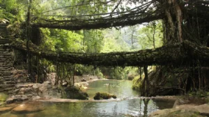 Home 26 Northeast India Travel Guide