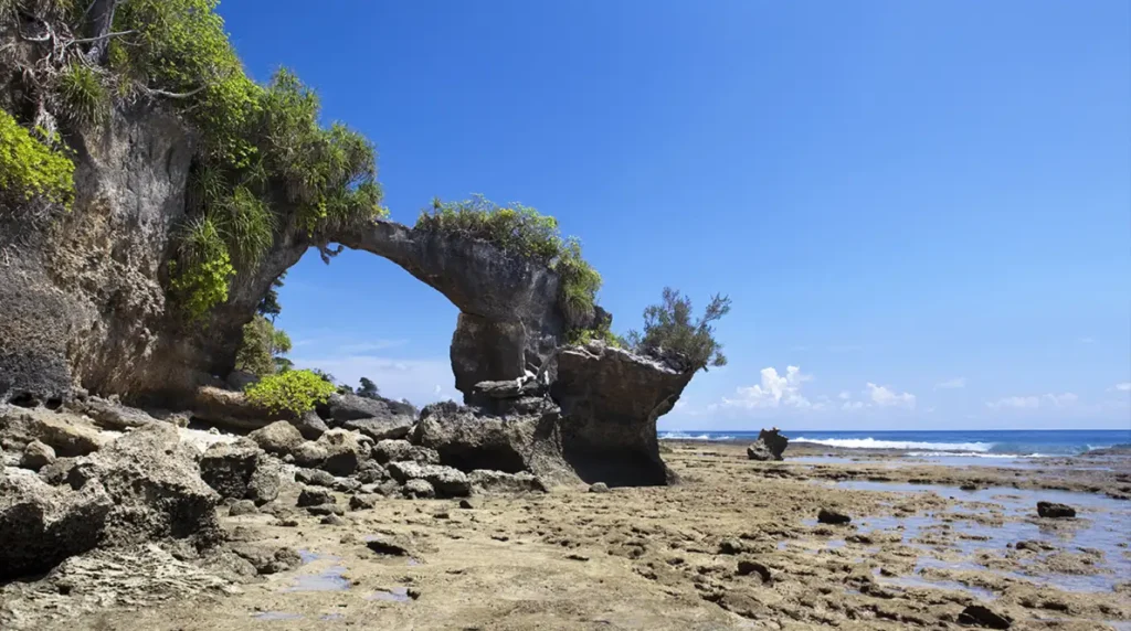 Andaman islands travel guide: beaches, diving & how to plan your trip 3 Andaman Islands Travel Guide: Beaches, Diving & How to Plan Your Trip