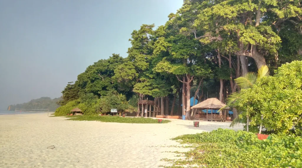 Andaman islands travel guide: beaches, diving & how to plan your trip 1 Andaman Islands Travel Guide