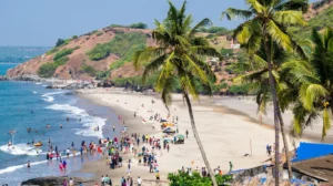 Home 25 Goa Travel Guide