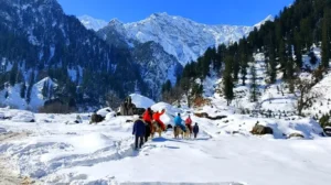 Home 25 Manali in December